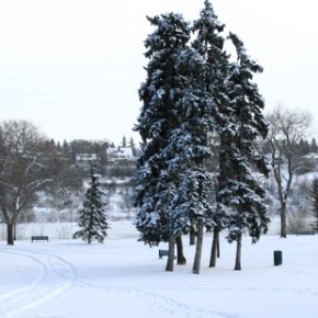 Tournée ONF : Saskatoon