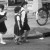 Le quartier Saint-Henri, 50 ans plus tard