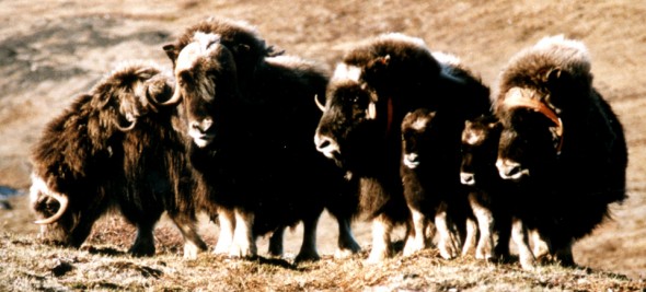 Cornouailles_blogue_960x435