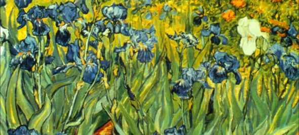 Le printemps à l'ONF : Vive les fleurs!