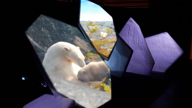 Au-delà des glaces | Touchez à un vrai glacier arctique au Musée canadien de la nature