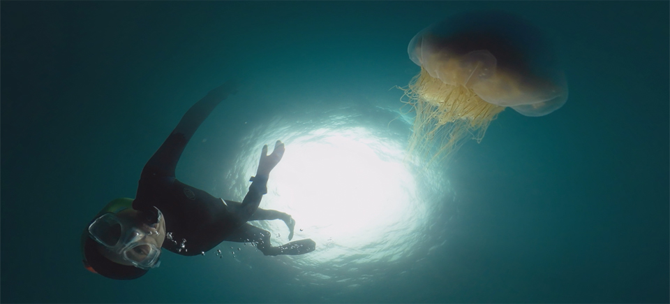 L’école de l’Océan | Tournage sous-marin en réalité virtuelle