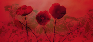 Vimy retrouvé | La Première Guerre mondiale en couleurs